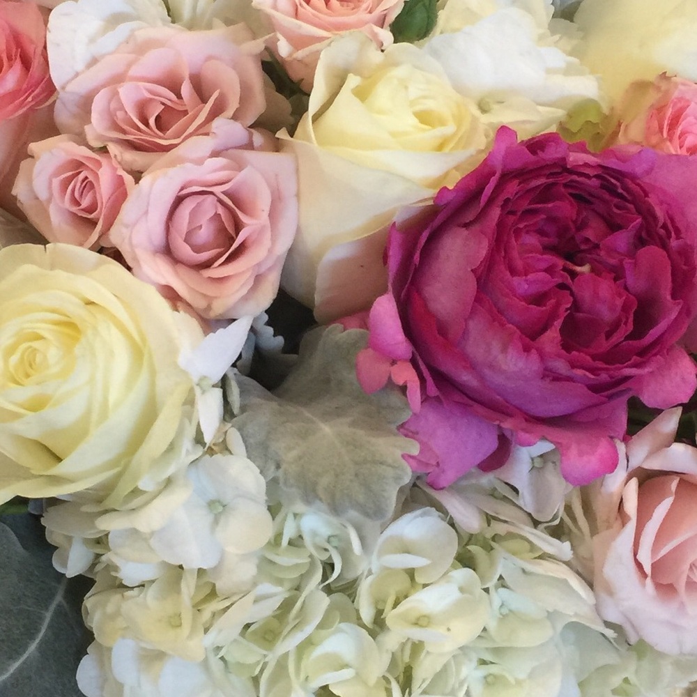 Meet your Posher, Michelle